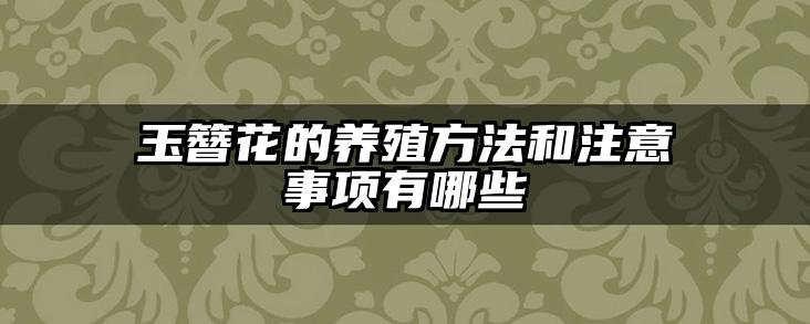 玉簪花的养殖方法和注意事项有哪些