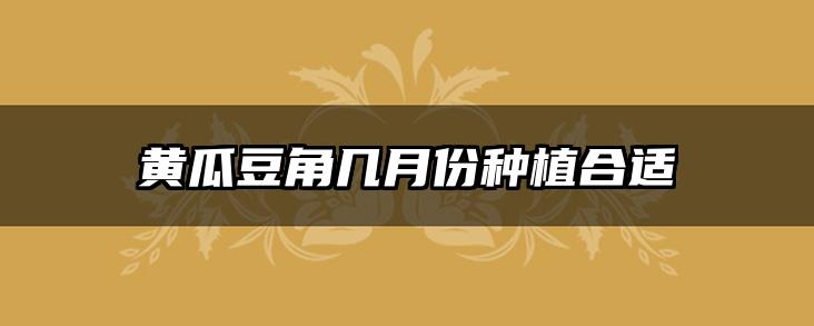 黄瓜豆角几月份种植合适