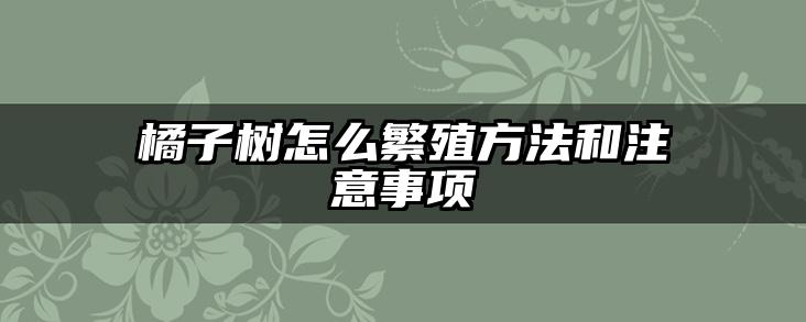 橘子树怎么繁殖方法和注意事项