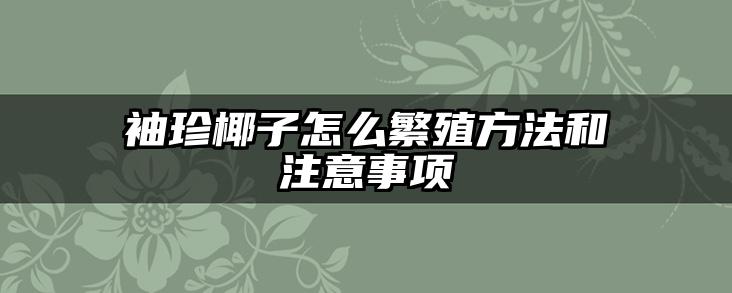 袖珍椰子怎么繁殖方法和注意事项