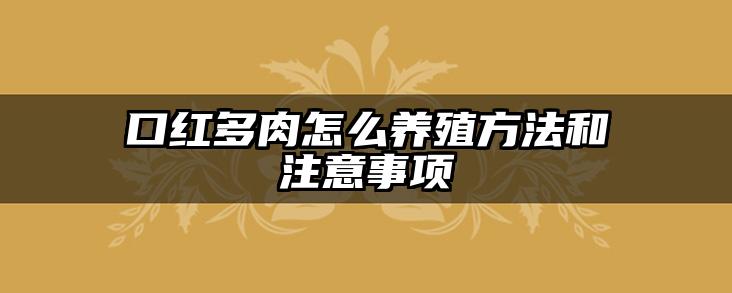 口红多肉怎么养殖方法和注意事项