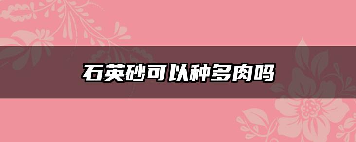 石英砂可以种多肉吗