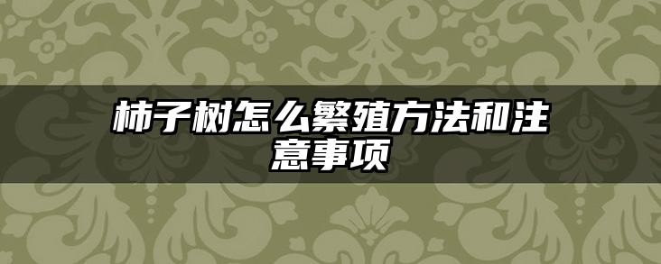 柿子树怎么繁殖方法和注意事项
