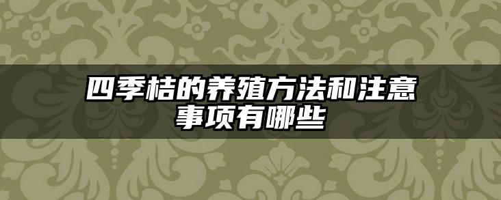 四季桔的养殖方法和注意事项有哪些