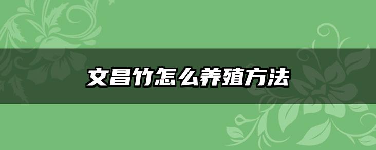 文昌竹怎么养殖方法