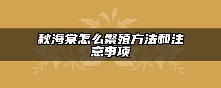 秋海棠怎么繁殖方法和注意事项