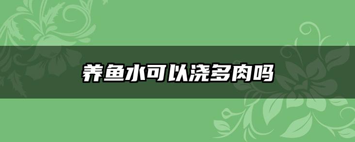养鱼水可以浇多肉吗