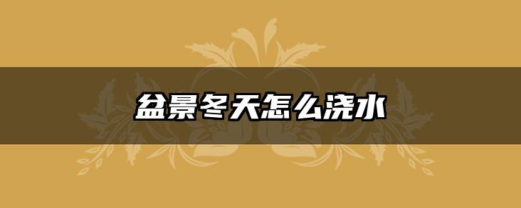 盆景冬天怎么浇水