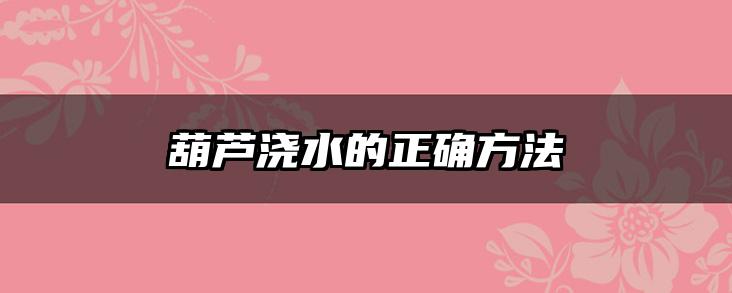 葫芦浇水的正确方法