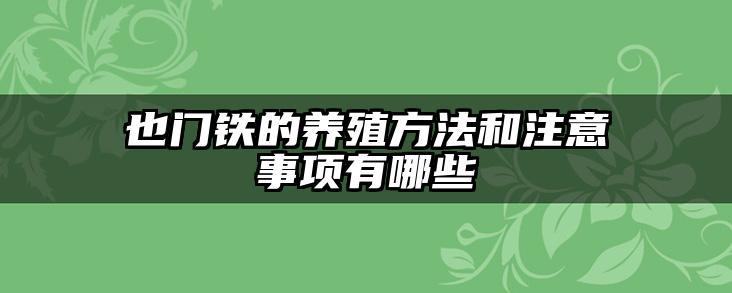 也门铁的养殖方法和注意事项有哪些