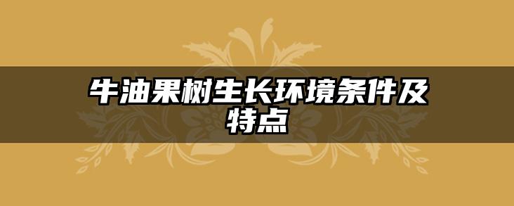 牛油果树生长环境条件及特点