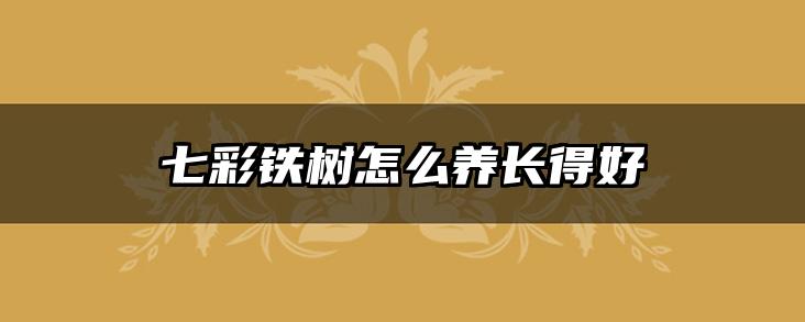 七彩铁树怎么养长得好