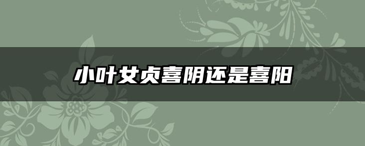 小叶女贞喜阴还是喜阳