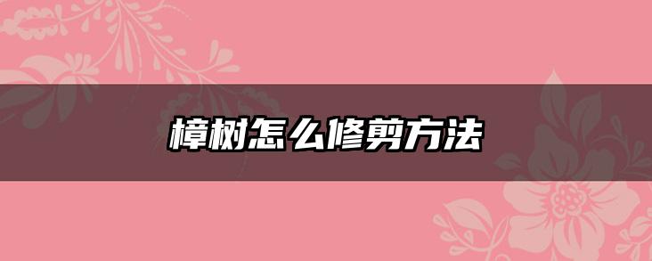 樟树怎么修剪方法