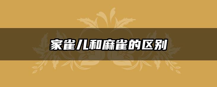 家雀儿和麻雀的区别