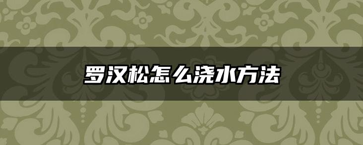 罗汉松怎么浇水方法