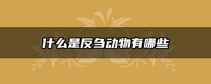什么是反刍动物有哪些