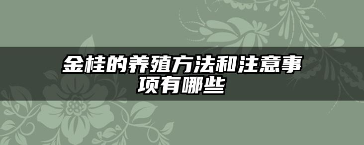 金桂的养殖方法和注意事项有哪些