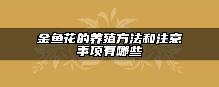 金鱼花的养殖方法和注意事项有哪些