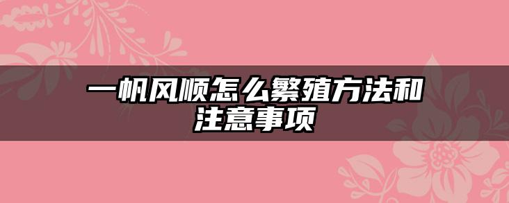 一帆风顺怎么繁殖方法和注意事项