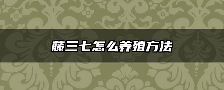 藤三七怎么养殖方法