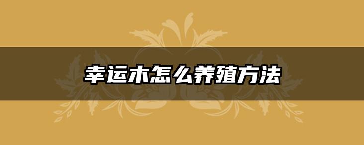 幸运木怎么养殖方法