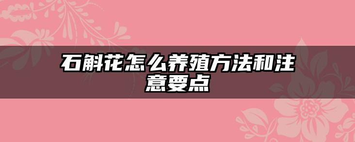 石斛花怎么养殖方法和注意要点