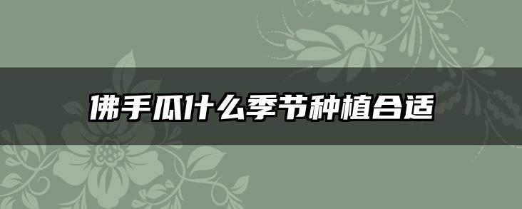佛手瓜什么季节种植合适