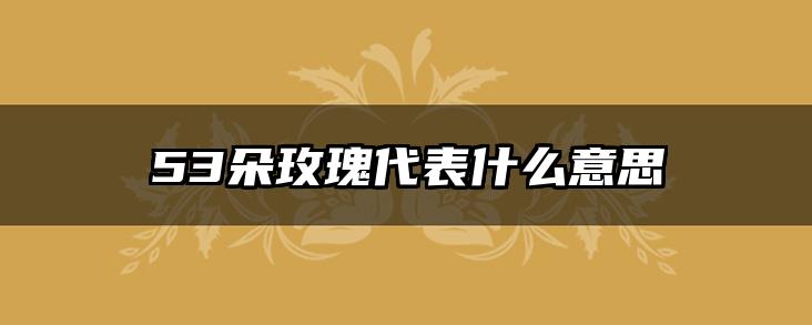 53朵玫瑰代表什么意思