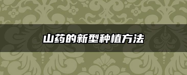 山药的新型种植方法