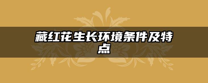 藏红花生长环境条件及特点