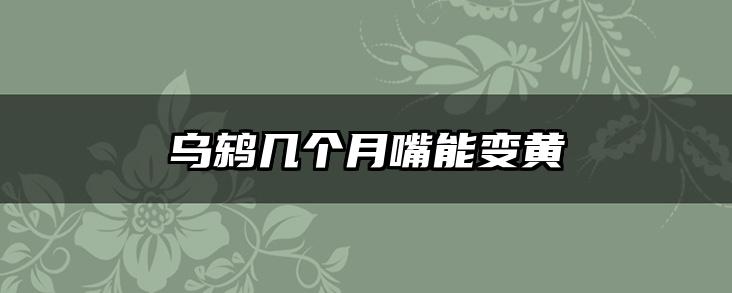 乌鸫几个月嘴能变黄