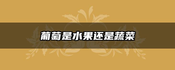 葡萄是水果还是蔬菜