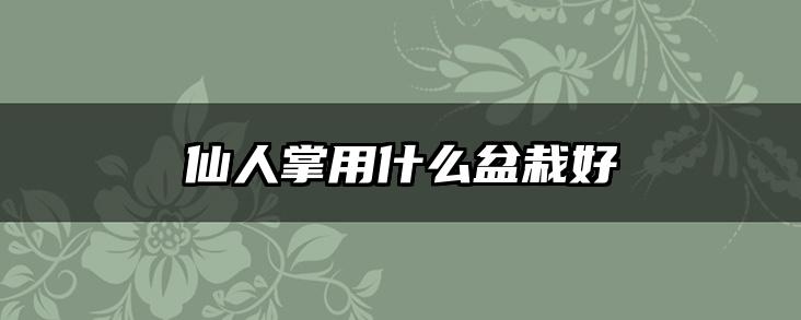仙人掌用什么盆栽好