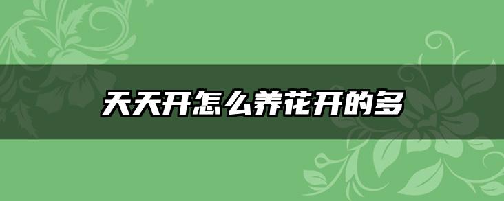 天天开怎么养花开的多