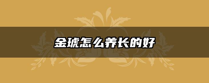 金琥怎么养长的好