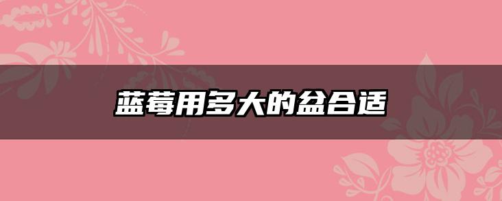蓝莓用多大的盆合适
