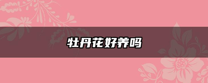 牡丹花好养吗