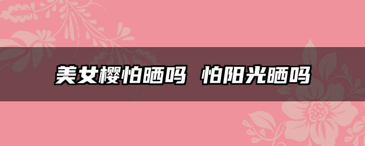 美女樱怕晒吗 怕阳光晒吗