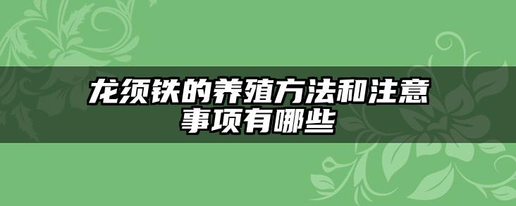 龙须铁的养殖方法和注意事项有哪些