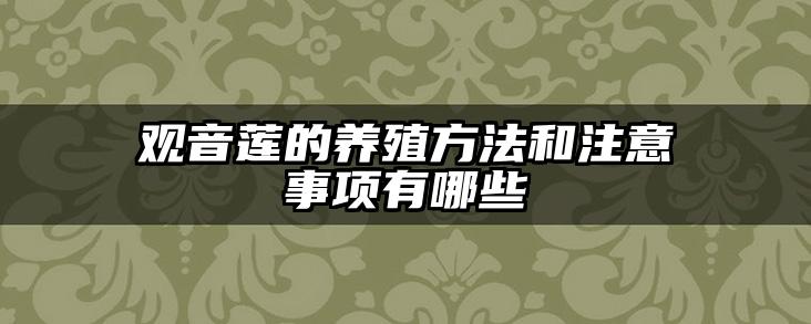 观音莲的养殖方法和注意事项有哪些