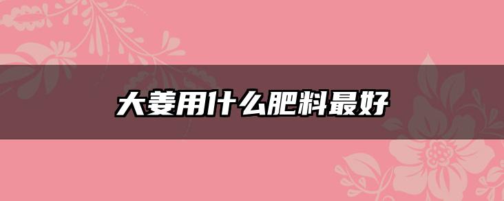 大姜用什么肥料最好