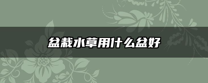 盆栽水草用什么盆好