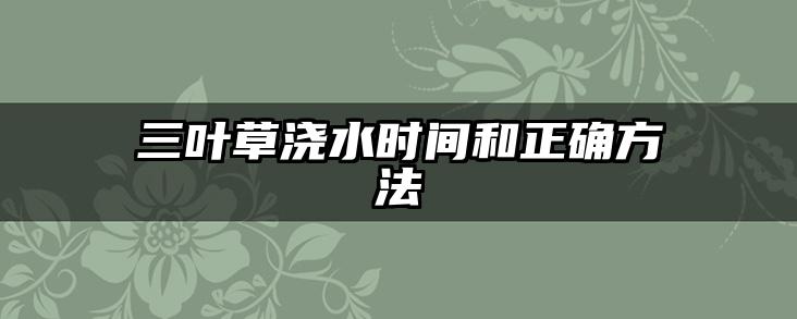 三叶草浇水时间和正确方法