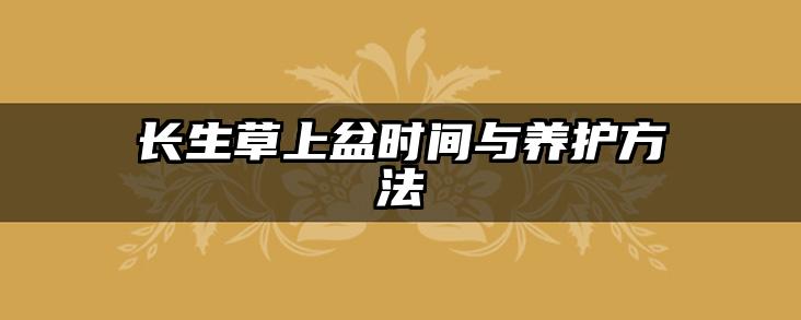 长生草上盆时间与养护方法