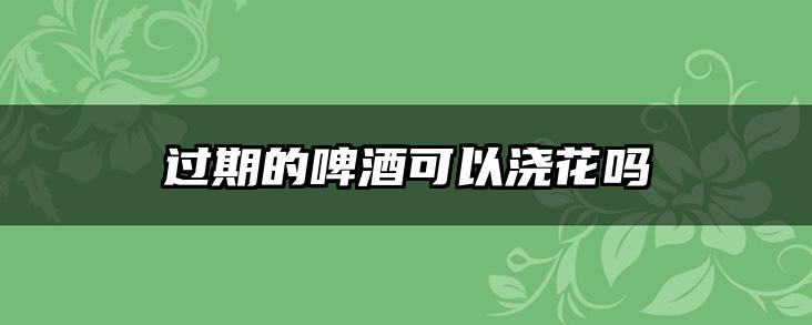 过期的啤酒可以浇花吗
