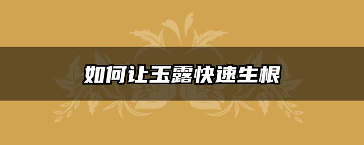 如何让玉露快速生根