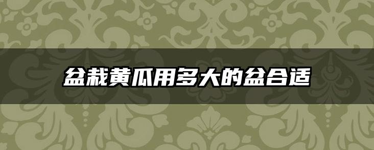 盆栽黄瓜用多大的盆合适
