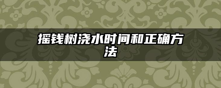 摇钱树浇水时间和正确方法