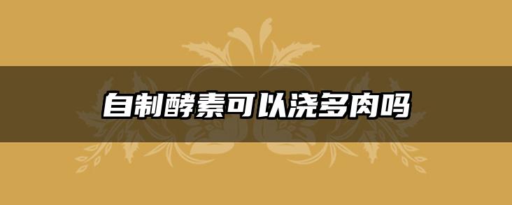 自制酵素可以浇多肉吗